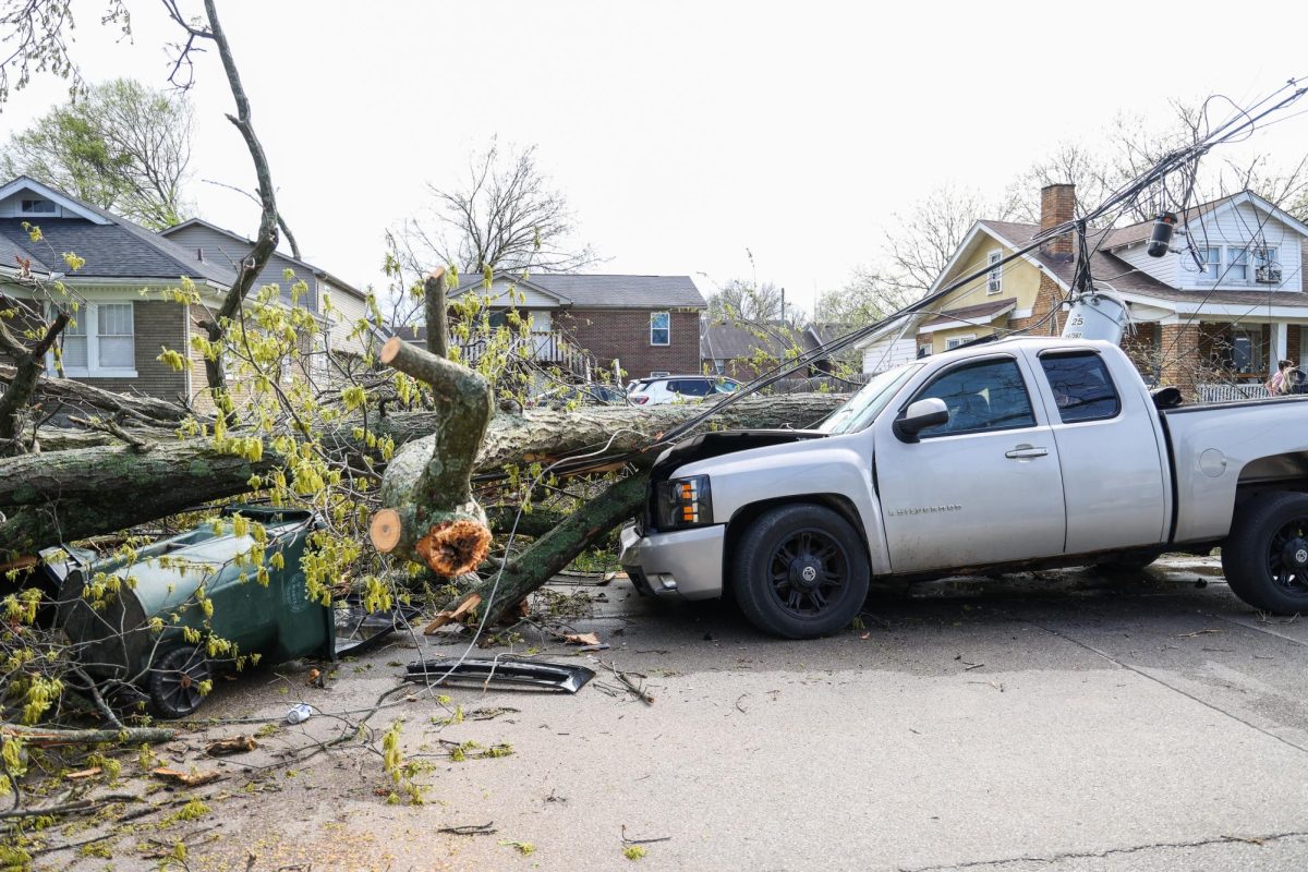 A car is crushed by a tree and telephone pole after severe weather on Tuesday, April 2, 2024, on University Avenue in Lexington, Kentucky. Photo by Abbey Cutrer | Staff
