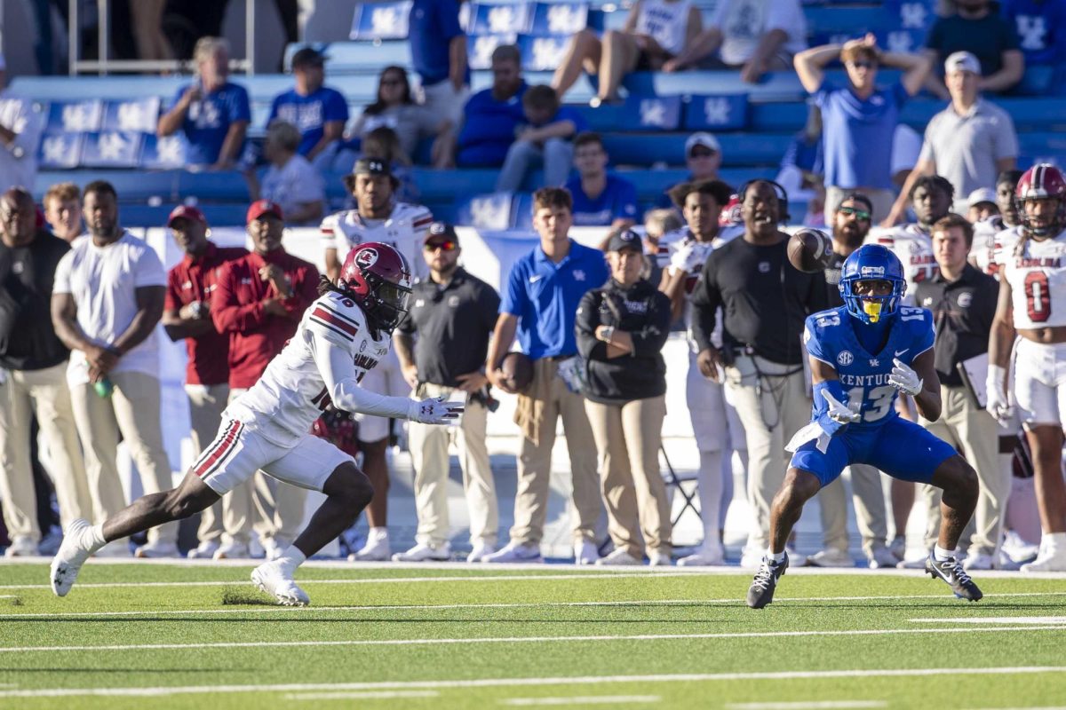 Kentucky Wildcats wide receiver Fred Farrier II (13) catches a pass during the game between Kentucky and South Carolina. Kentucky lost to South Carolina 31-6. Saturday, Sept. 7, 2024, at Kroger Field in Lexington, Kentucky. Photo by Matthew Mueller | Photo Editor