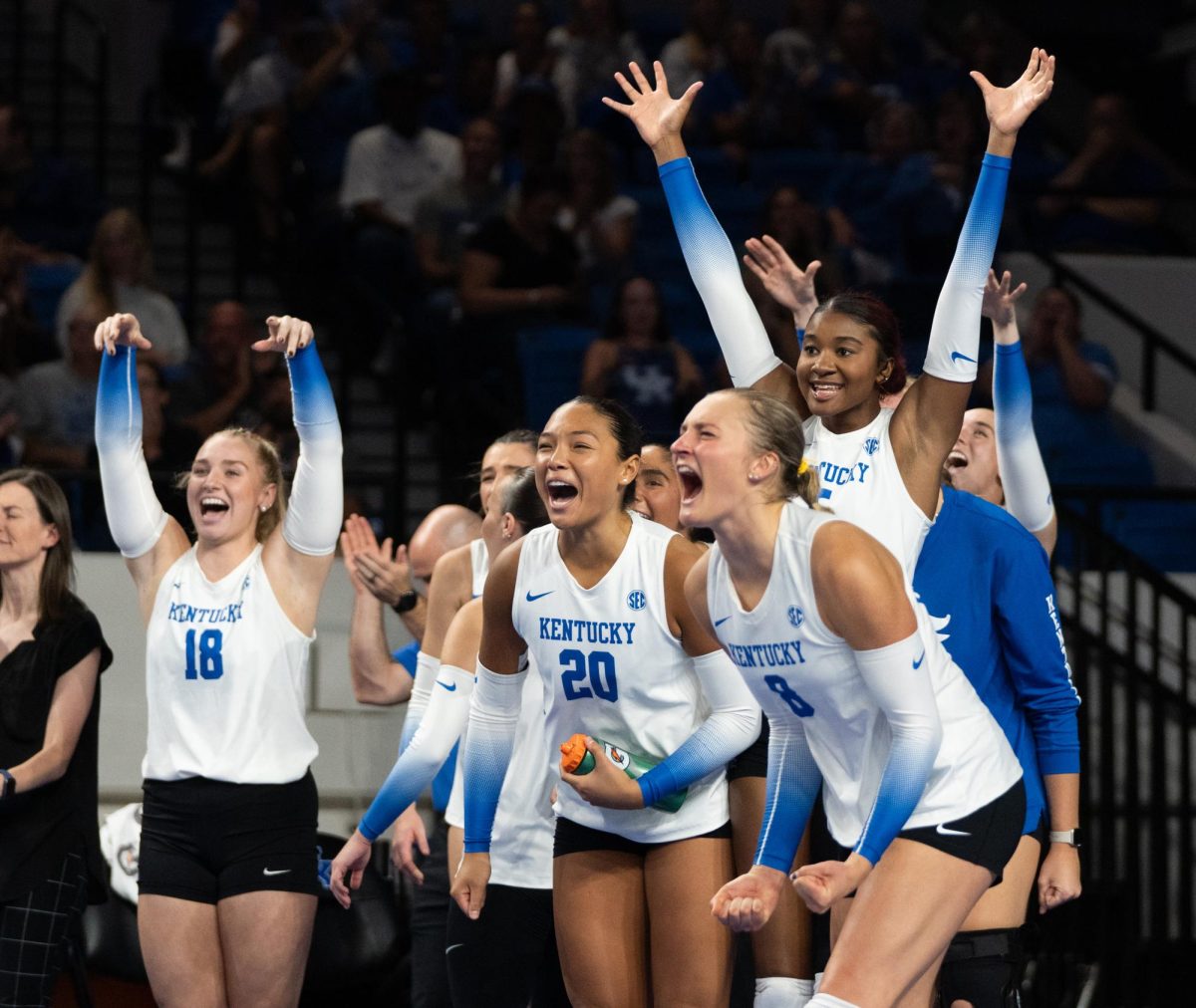 The Kentucky bench celebrates after a point is scored during the No. 9 Kentucky vs. No. 7 Penn State women's volleyball match on Friday, Sept. 6, 2024, at Memorial Coliseum in Lexington, Kentucky. Kentucky lost 2-3. Photo by Brayden Finn | Staff