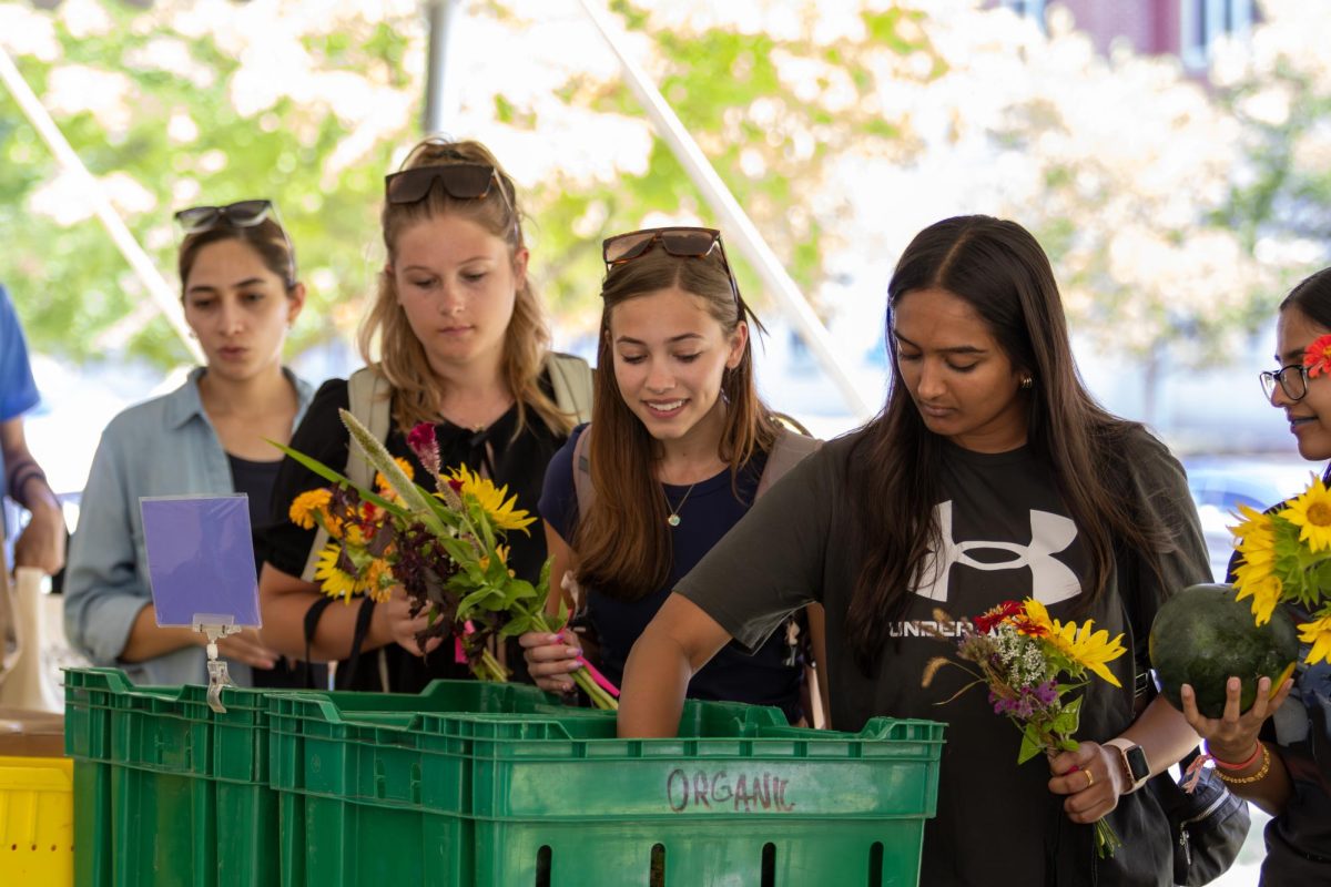 Lauren Lowenbach, a freshman in Animal Science peers into a crate of watermelons before making a selection during the Wildcat Market at the University of Kentucky on Wednesday, Sep 11, 2024. Photo by Sydney Novack | staff