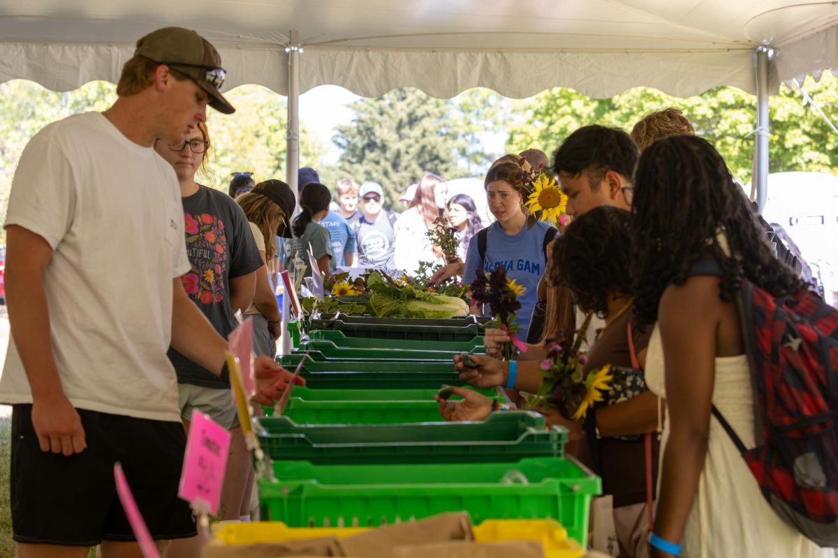 Wildcat Market isle, students on the right, and workers on the left during the Wildcat Market at the University of Kentucky on Wednesday, Sep 11, 2024. Photo by Sydney Novack | staff