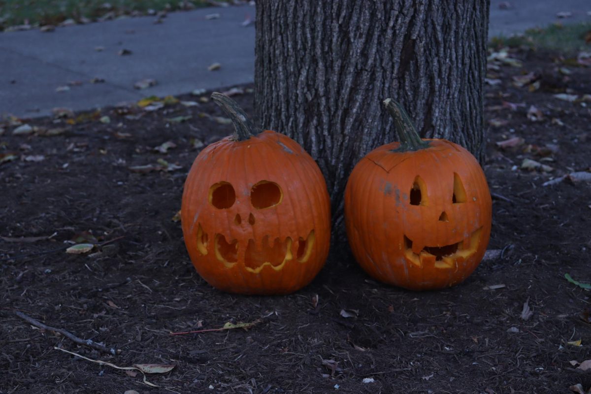 Carved pumpkins sit under a tree at "Big Boo Bash" on Oct. 23, 2024, outside of Champions Kitchen at the University of Kentucky in Lexington, Kentucky.