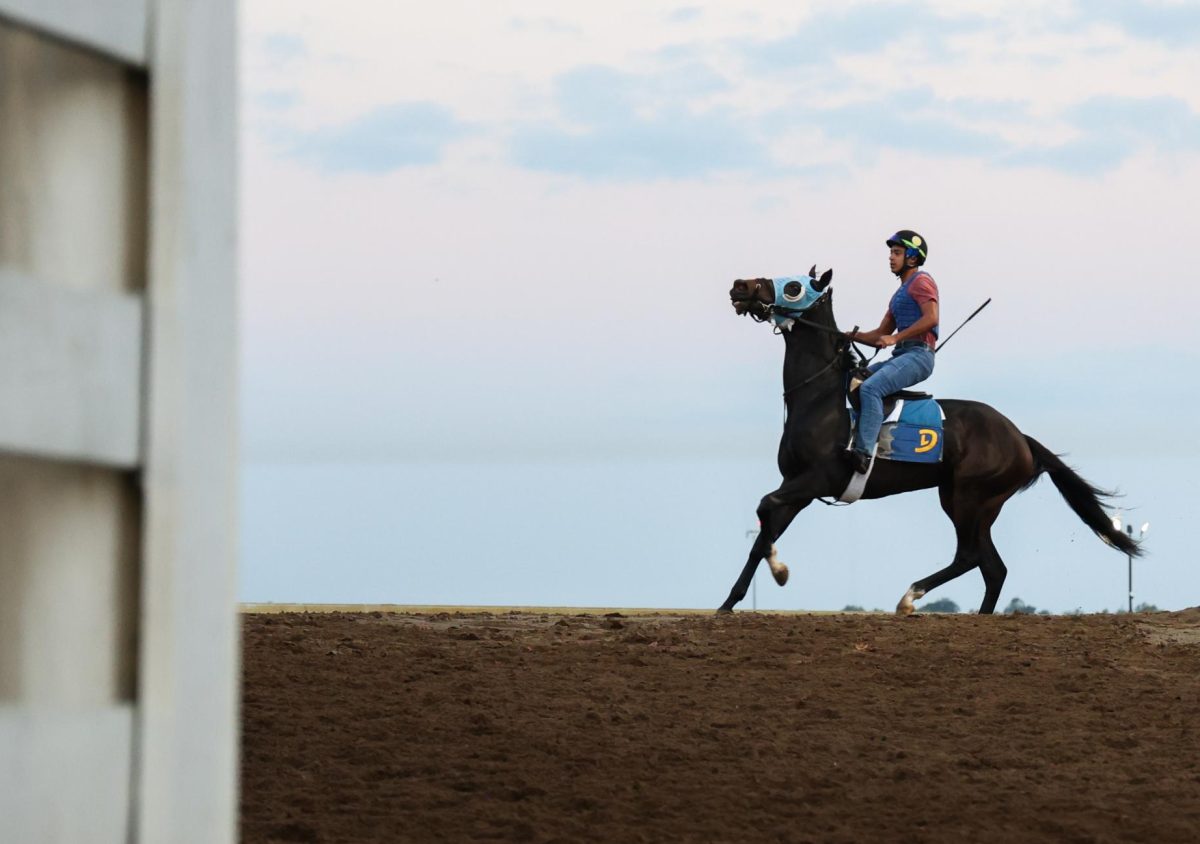 An exercise rider walks on the main track during morning training on the opening day of the Fall Meet on Friday, Oct. 4, 2024, at Keeneland in Lexington, Kentucky. Photo by Abbey Cutrer | Staff