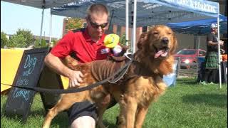 VIDEO: Halloween Festival Promotes Animal Adoption