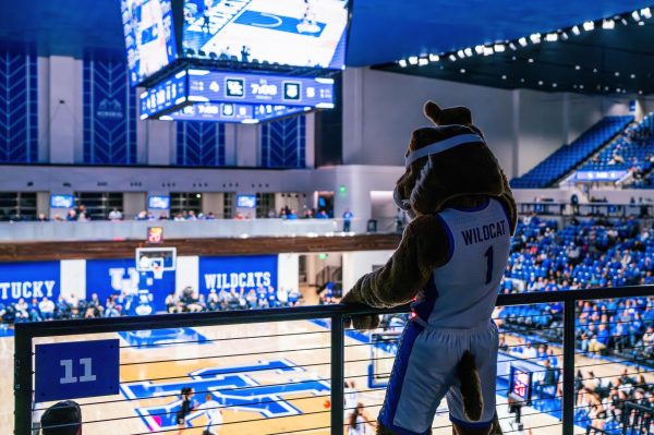 Kentucky Wildcats mascot Wildcat cheers as he watches the Kentucky vs. Purdue Fort Wayne women’s basketball game on Monday, Nov. 18, 2024, at Historical Memorial Coliseum in Lexington, Kentucky. Kentucky won 79—67. Photo by Will Luckett | Staff