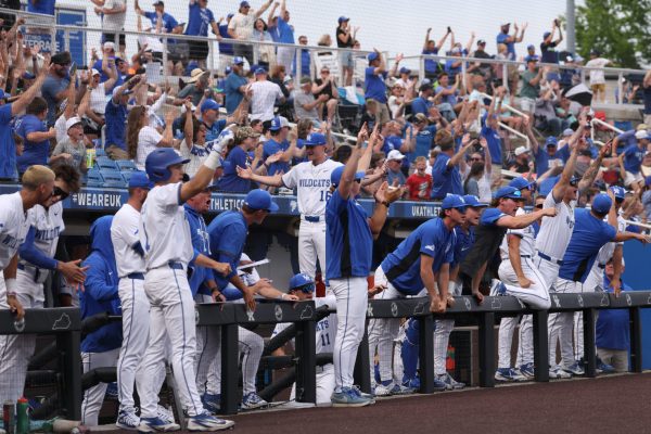 Kentucky dugout celebrates in a baseball game against Arkansas on Saturday, May 16, 2026, at Kentucky Proud Park in Lexington, Ky. Arkansas won 16-12. Photo by Kate Bonafede | Kentucky Kernel